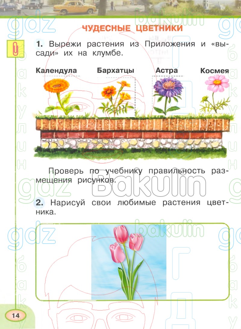ГДЗ рабочая тетрадь по окружающему миру 1 класс Плешаков, Новицкая часть 1,  2 Перспектива, Решение, Часть 2 (Страница), 14