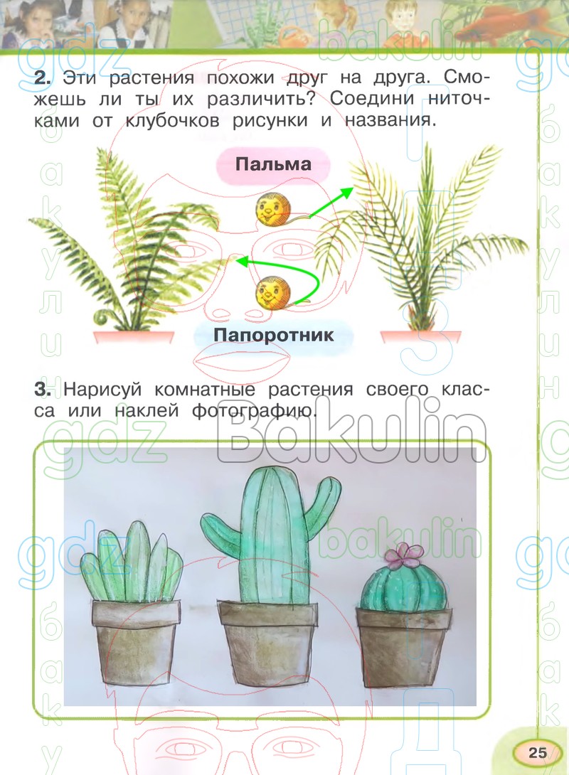 Окружающий тетрадь 4 плешакова новицкая. Окружающий мир рабочая тетрадь комнатные растения. Гдз окружающий мир Плешаков Новицкая 1 класс. Рабочая тетрадь окружающий 1 часть перспектива. Кустарники 2 класс окружающий мир рабочая.