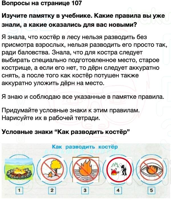 ГДЗ учебник по окружающему миру 4 класс Плешаков, Крючкова Часть 1 Страница 107