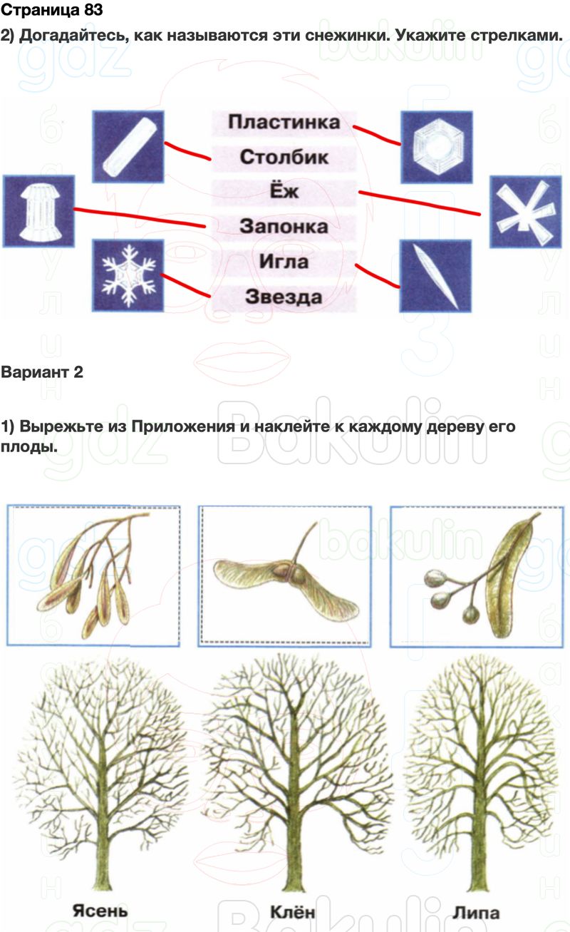 ГДЗ Окружающий мир Рабочая тетрадь 2 класс Плешаков Школа России Часть 1 Страница 83
