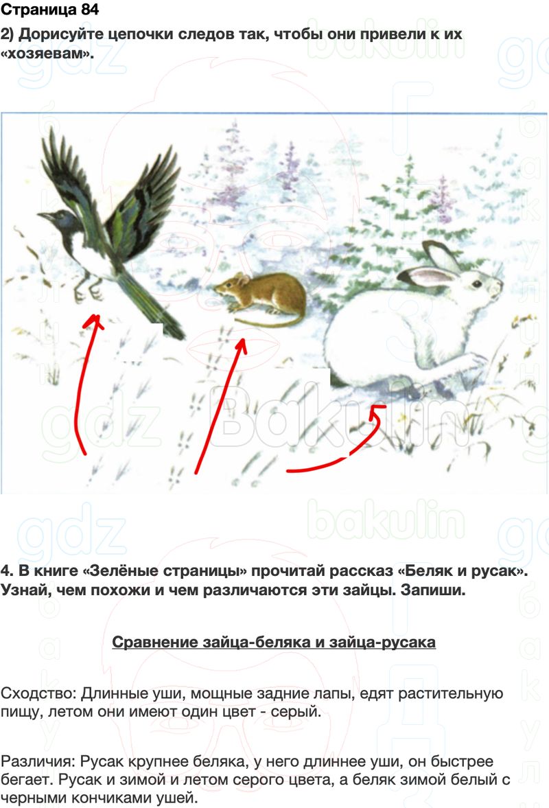 ГДЗ Окружающий мир Рабочая тетрадь 2 класс Плешаков Школа России Часть 1 Страница 84