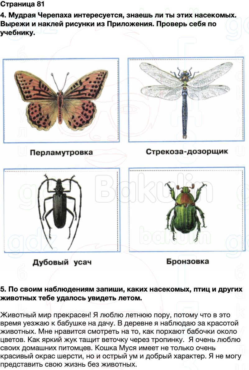 ГДЗ Окружающий мир Рабочая тетрадь 2 класс Плешаков Школа России Часть 2 Страница 81