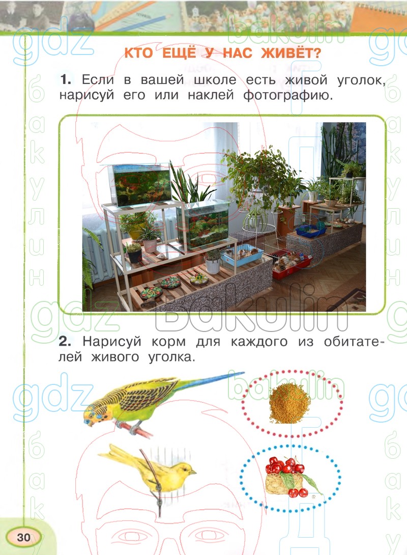 Окружающий мир первый класс плешаков новицкая. Окружающий мир рабочая тетрадь Плешаков. Окружающий мир. Рабочая тетрадь. 1 Класс. Часть 2. Домашнее задание окружающий мир. Окружающий мир 6-7 рабочая тетрадь.