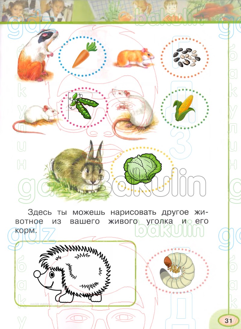 ГДЗ рабочая тетрадь по окружающему миру 1 класс Плешаков, Новицкая часть 1,  2 Перспектива, Решение, Часть 1 (Страница), 31