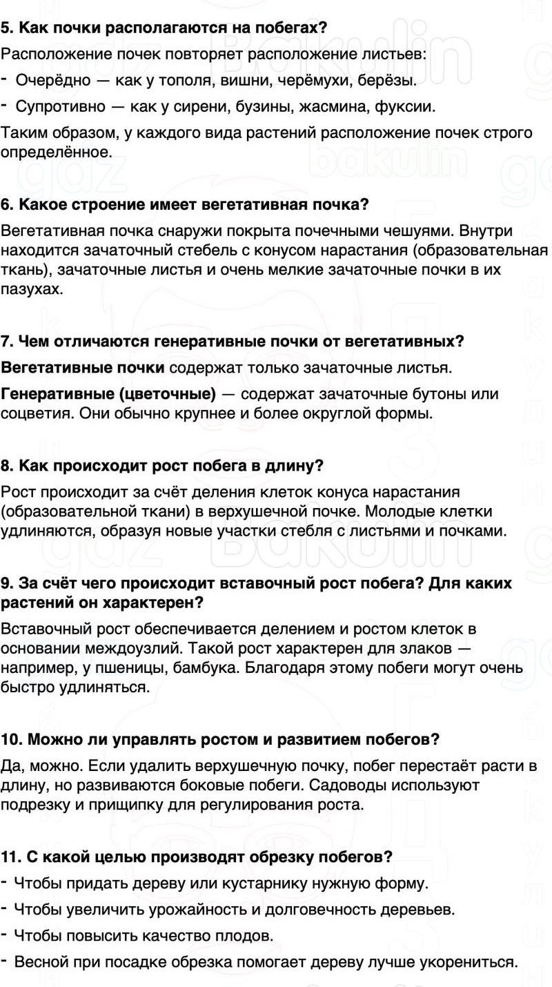 ГДЗ биология 6 класс Пасечник Линия жизни Параграф 10