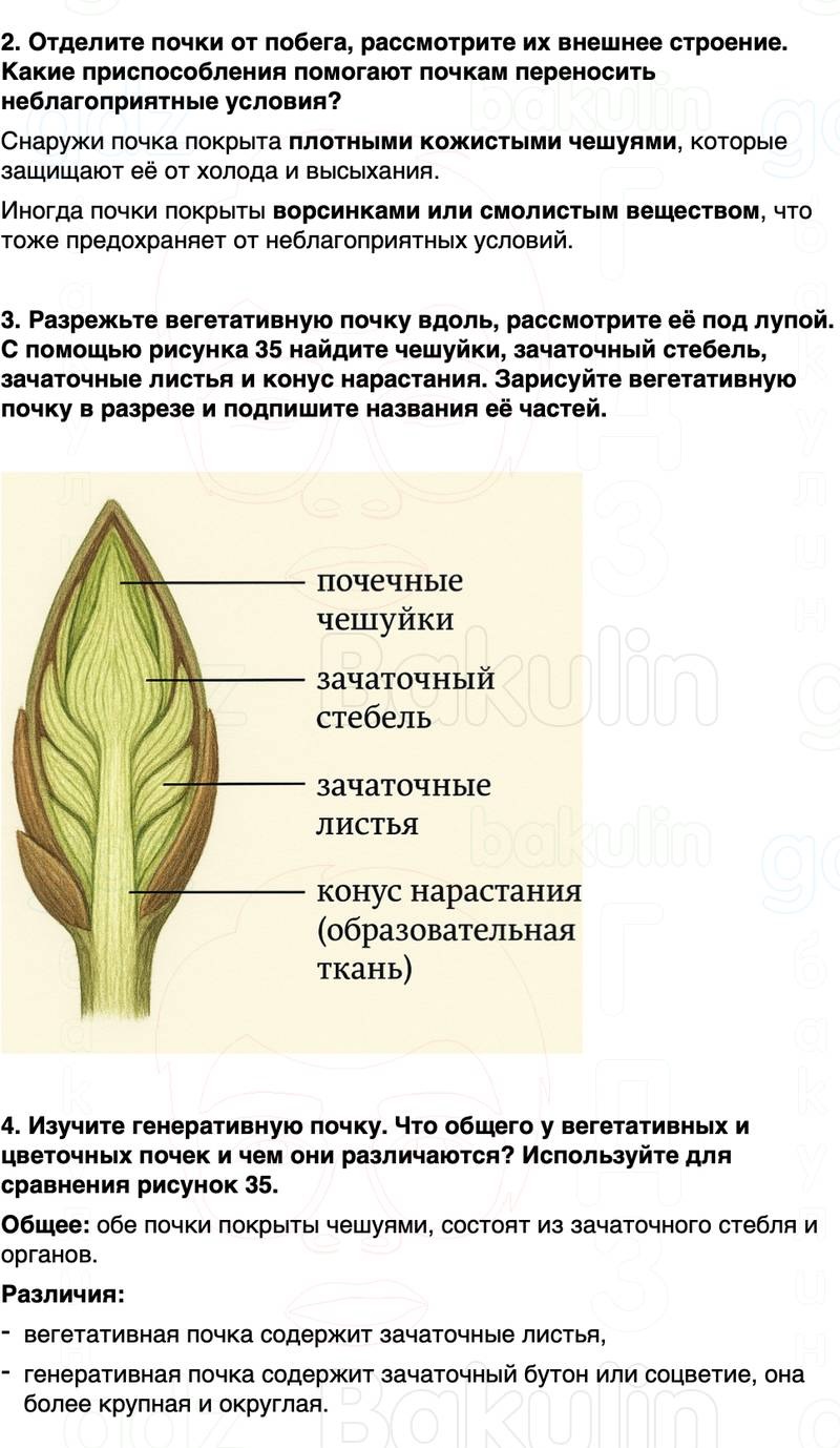 ГДЗ биология 6 класс Пасечник Линия жизни Параграф 10
