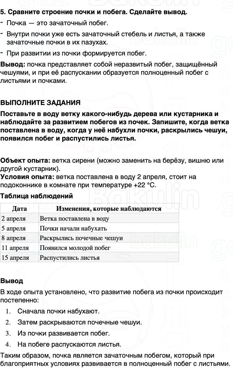 ГДЗ биология 6 класс Пасечник Линия жизни Параграф 10