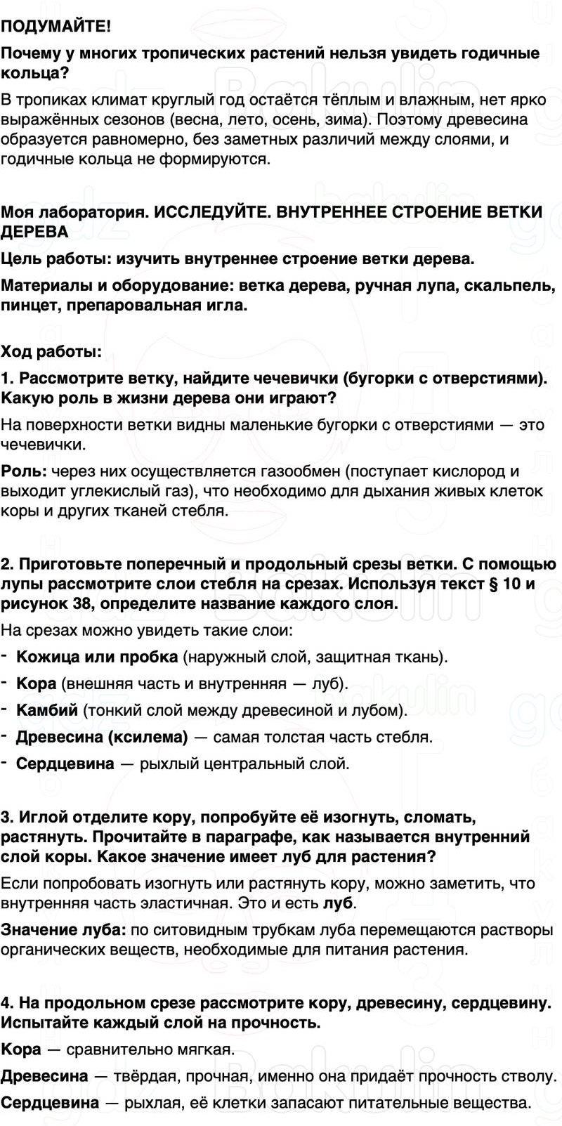 ГДЗ биология 6 класс Пасечник Линия жизни Параграф 11