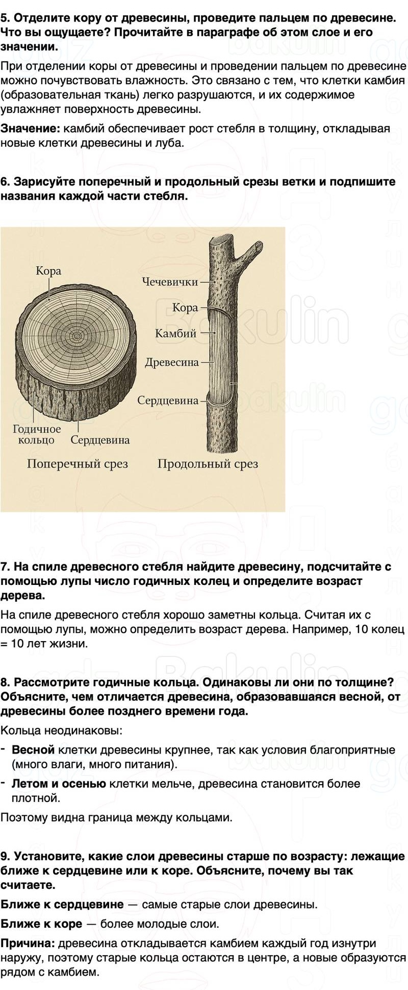 ГДЗ биология 6 класс Пасечник Линия жизни Параграф 11