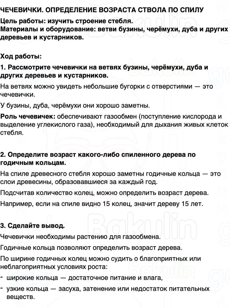 ГДЗ биология 6 класс Пасечник Линия жизни Параграф 11