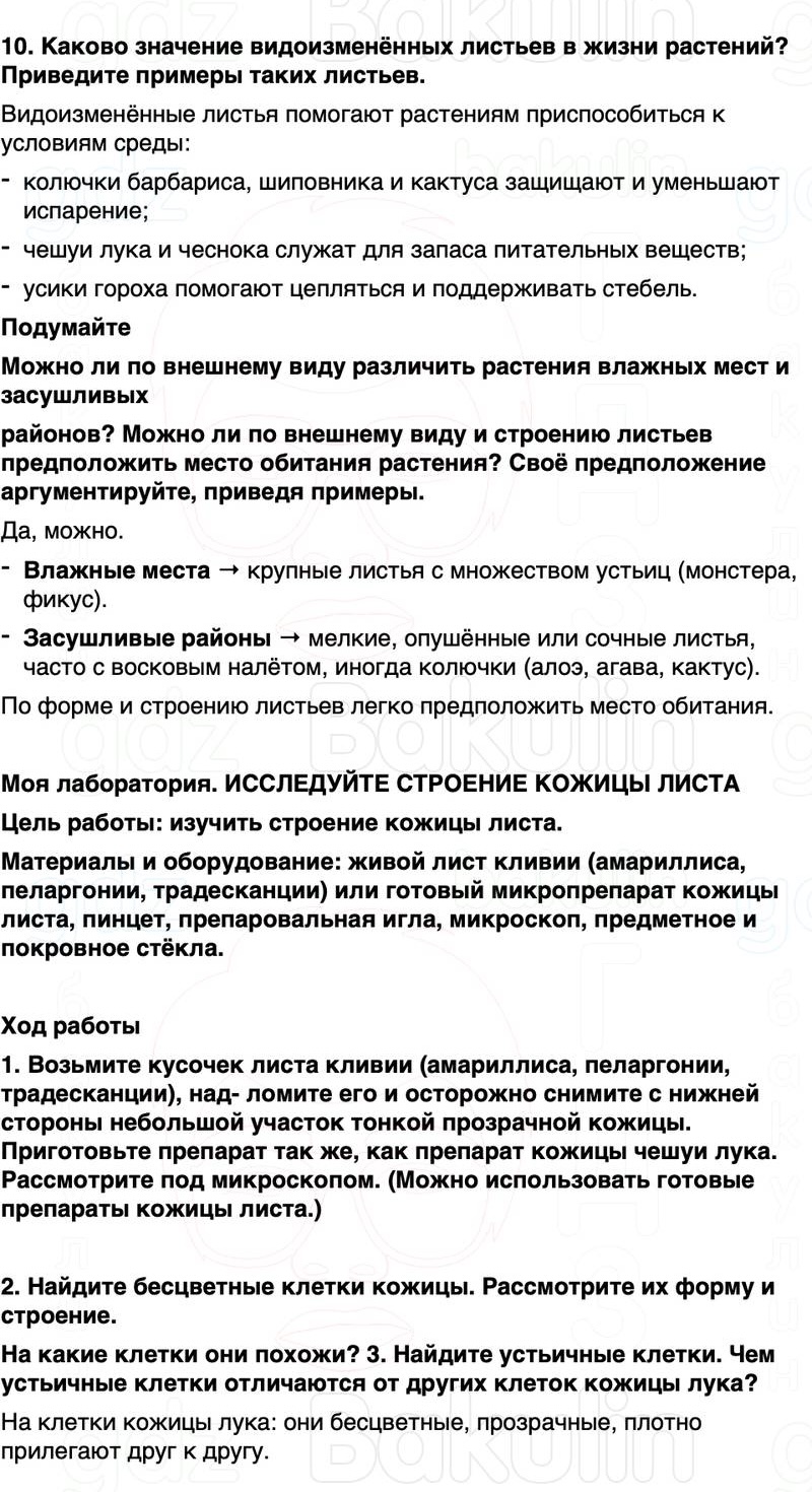 ГДЗ биология 6 класс Пасечник Линия жизни Параграф 12