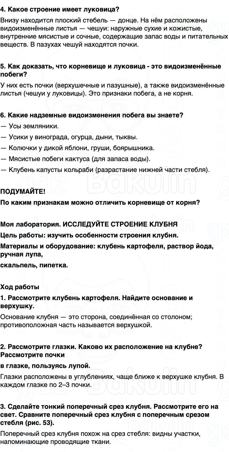ГДЗ биология 6 класс Пасечник Линия жизни Параграф 13