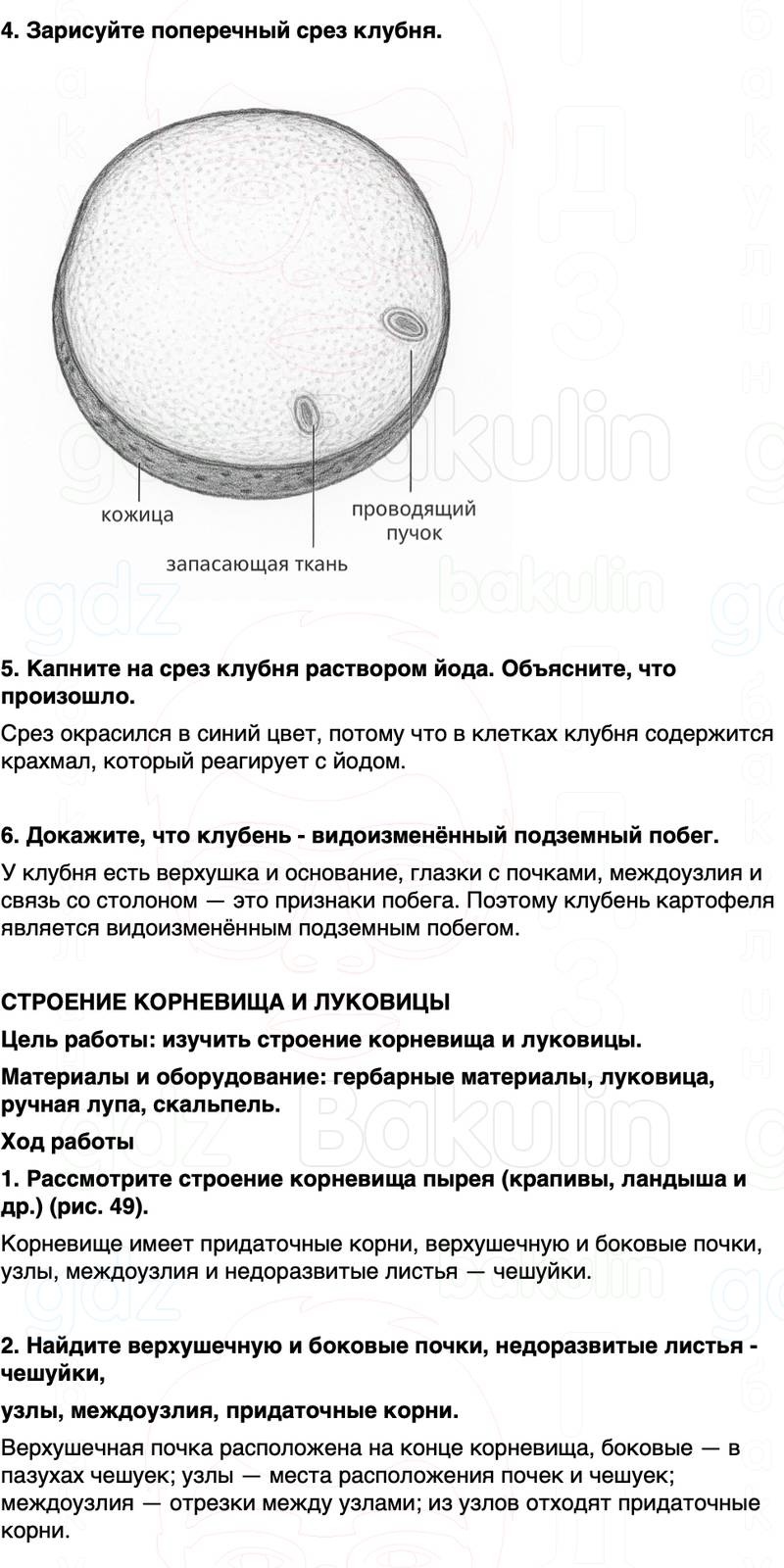 ГДЗ биология 6 класс Пасечник Линия жизни Параграф 13