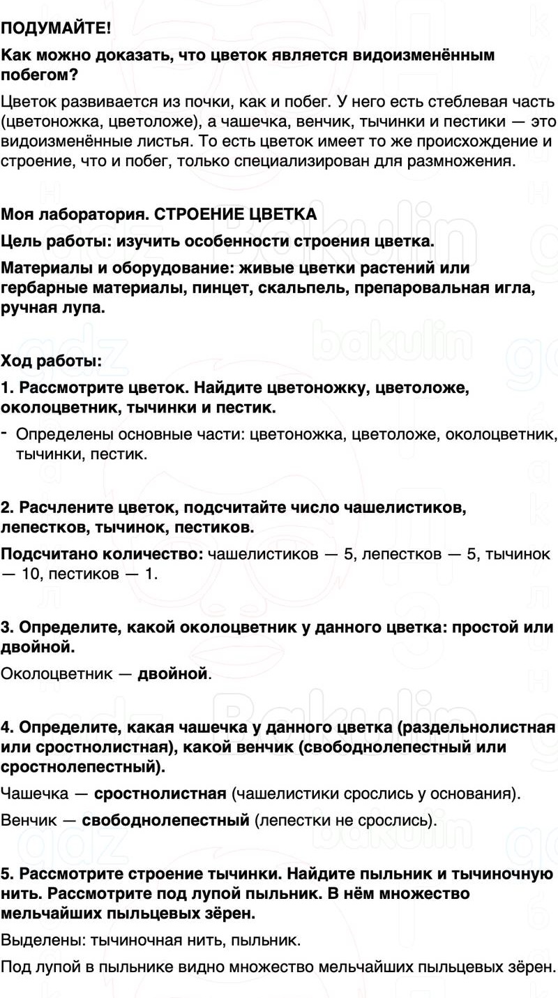 ГДЗ биология 6 класс Пасечник Линия жизни Параграф 14