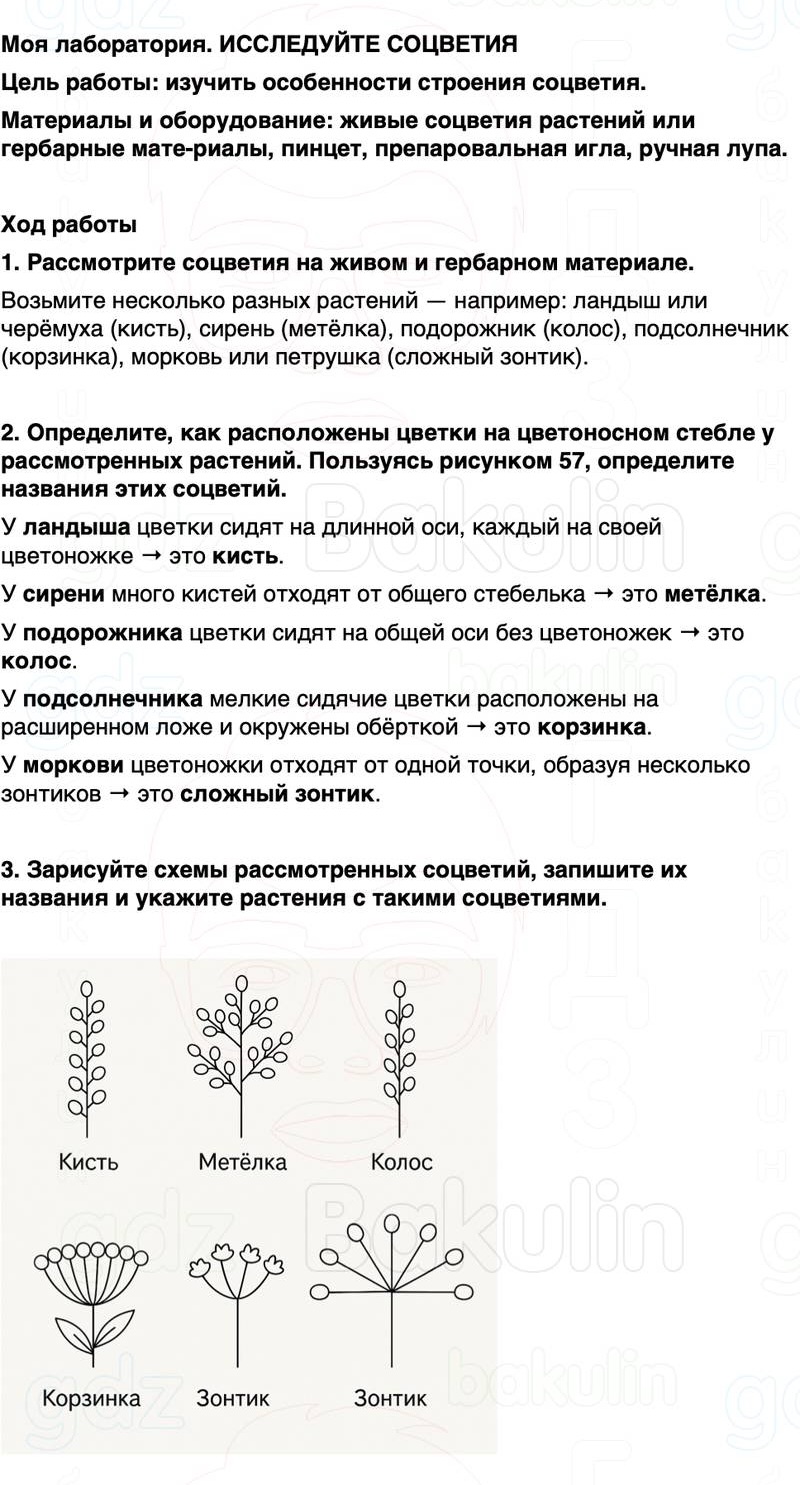 ГДЗ биология 6 класс Пасечник Линия жизни Параграф 15