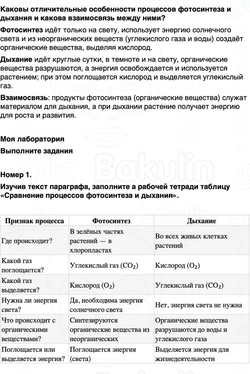 ГДЗ биология 6 класс Пасечник Линия жизни Параграф 20