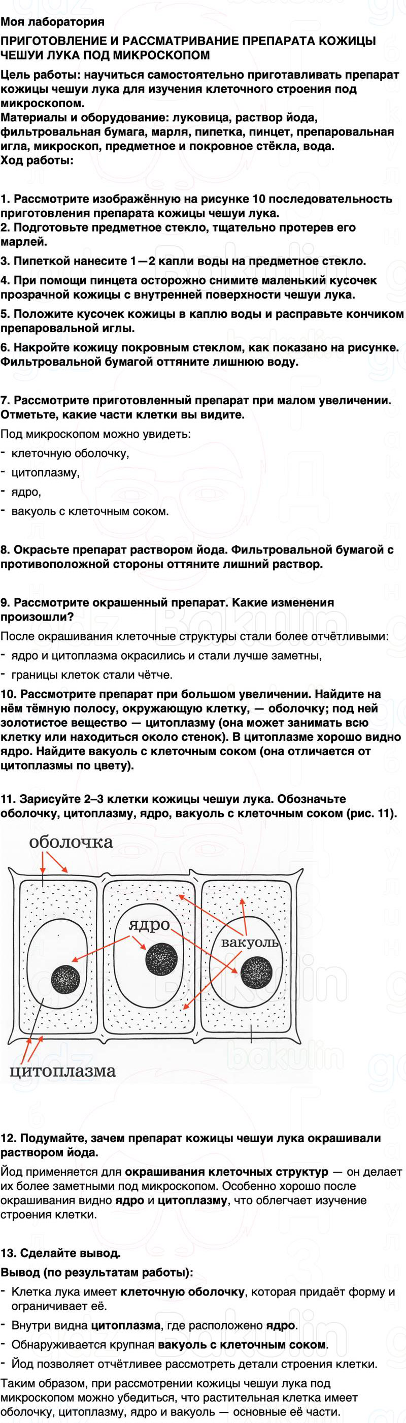 ГДЗ биология 6 класс Пасечник Линия жизни Параграф 2