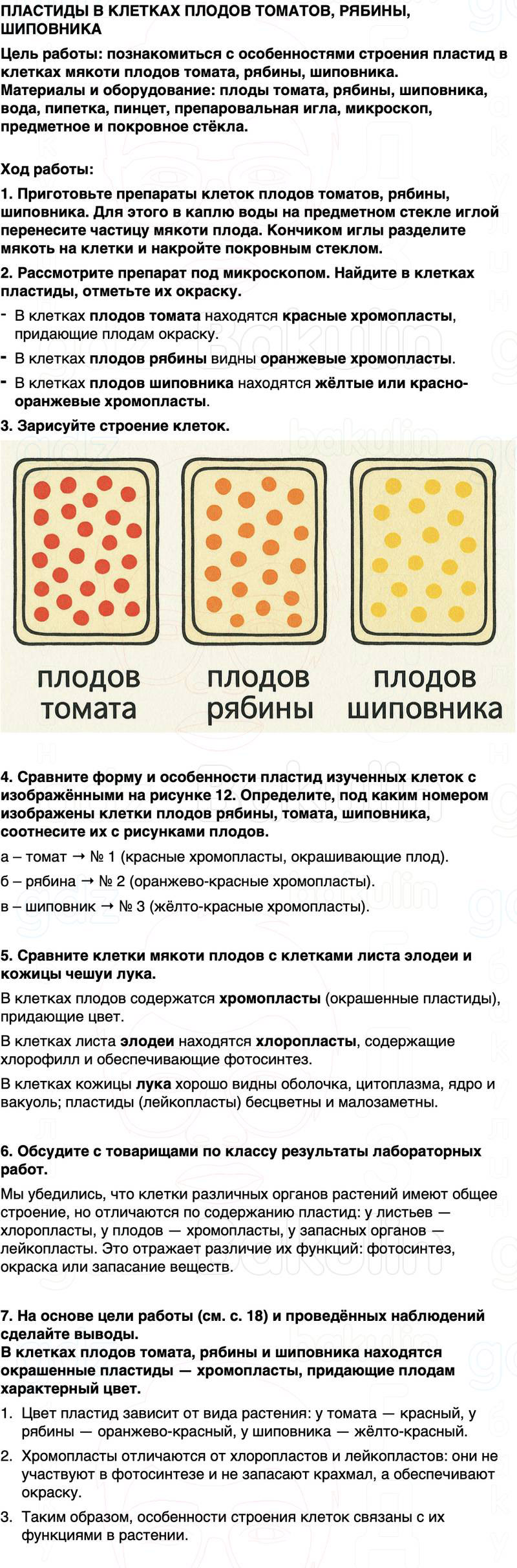 ГДЗ биология 6 класс Пасечник Линия жизни Параграф 2