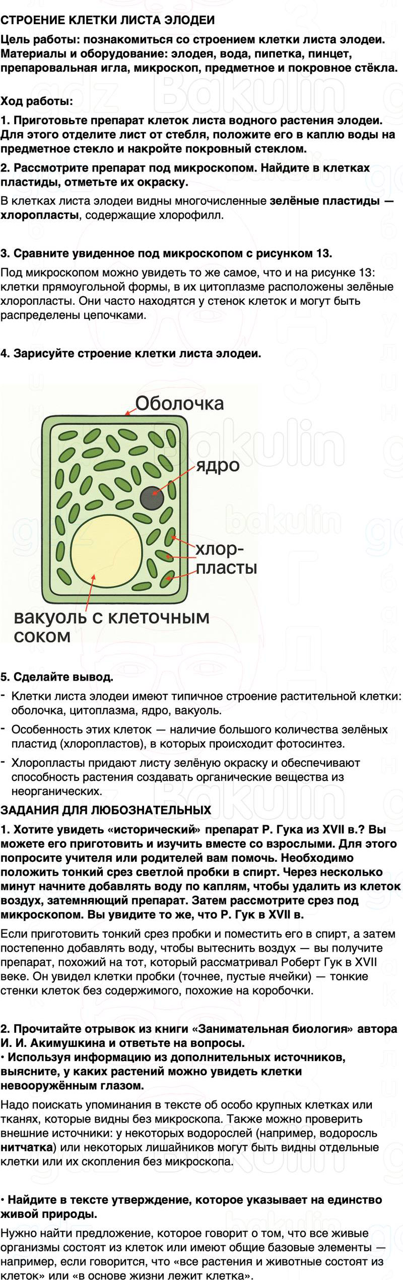 ГДЗ биология 6 класс Пасечник Линия жизни Параграф 2