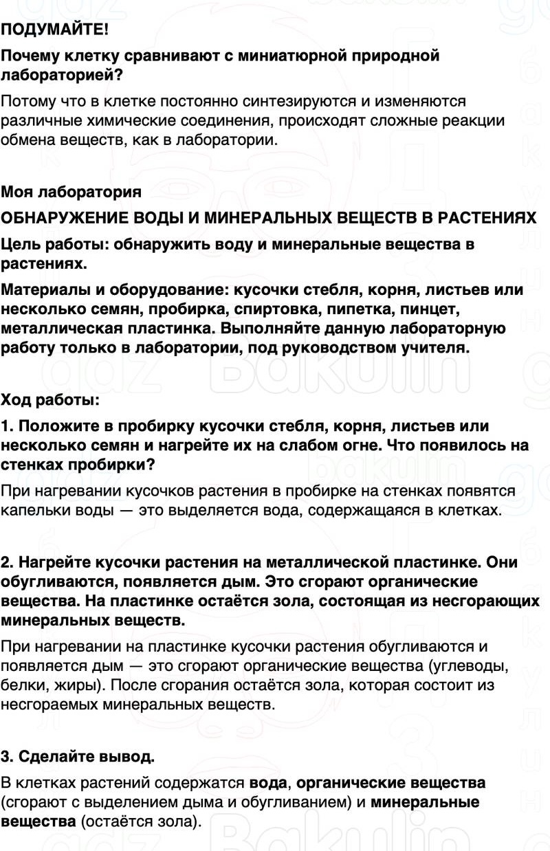 ГДЗ биология 6 класс Пасечник Линия жизни Параграф 3