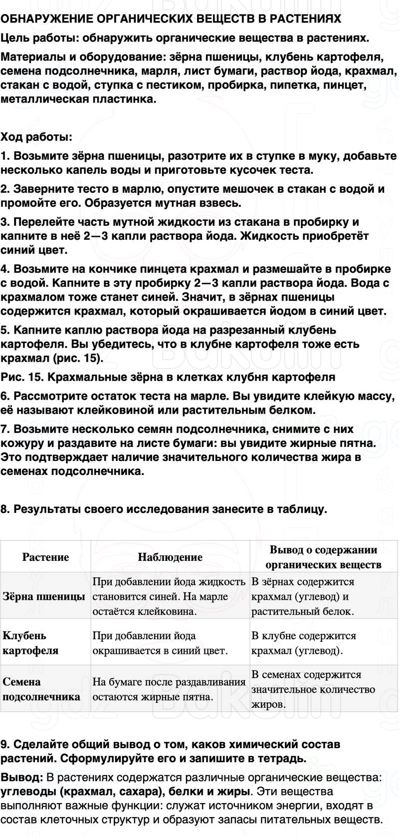 ГДЗ биология 6 класс Пасечник Линия жизни Параграф 3