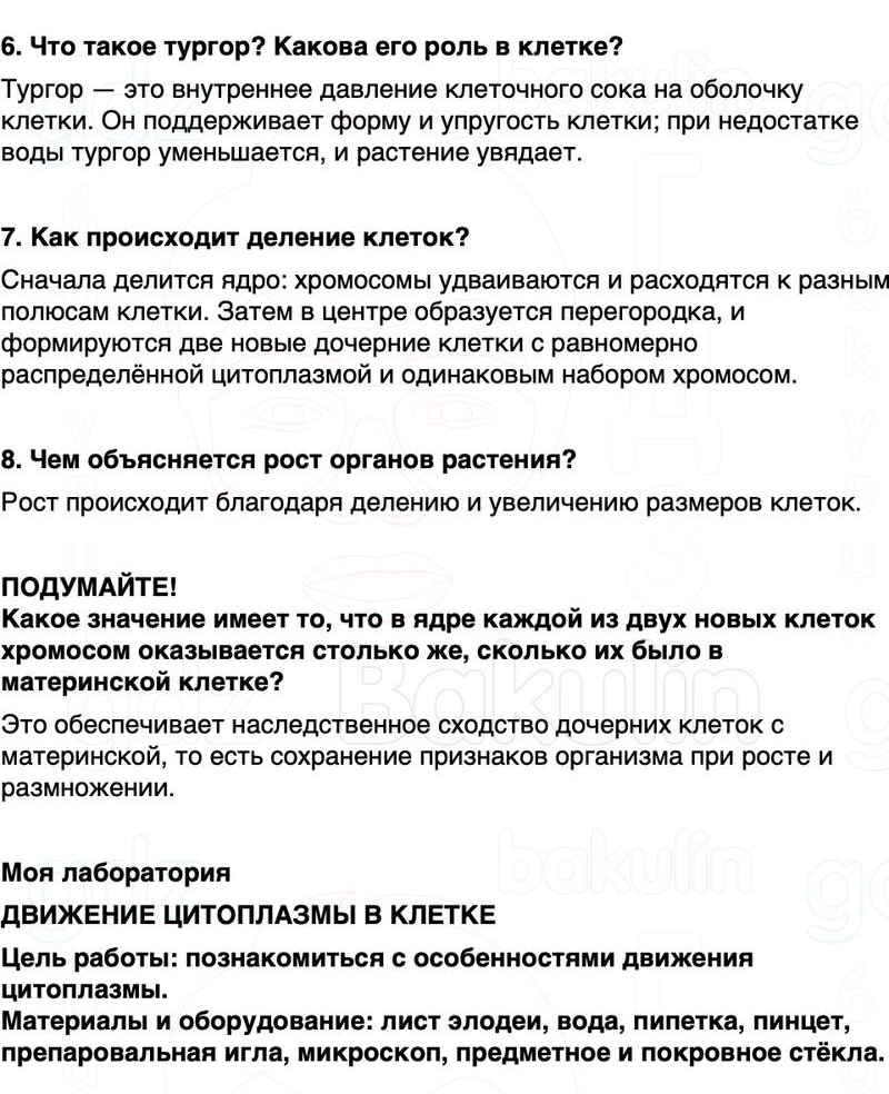 ГДЗ биология 6 класс Пасечник Линия жизни Параграф 4