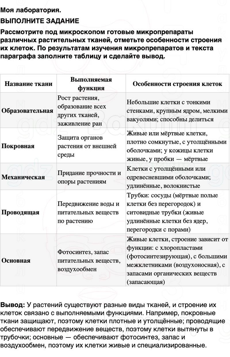 ГДЗ биология 6 класс Пасечник Линия жизни Параграф 5