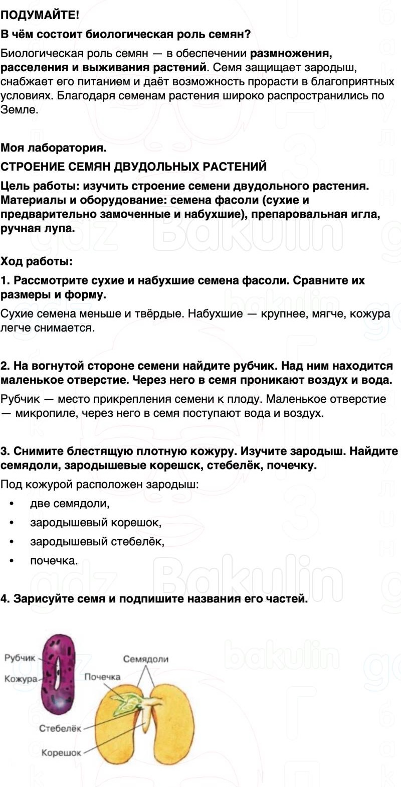 ГДЗ биология 6 класс Пасечник Линия жизни Параграф 7