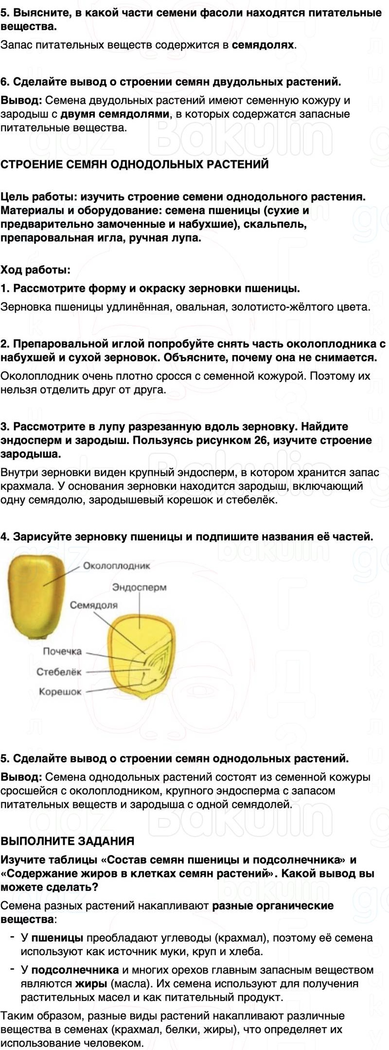 ГДЗ биология 6 класс Пасечник Линия жизни Параграф 7