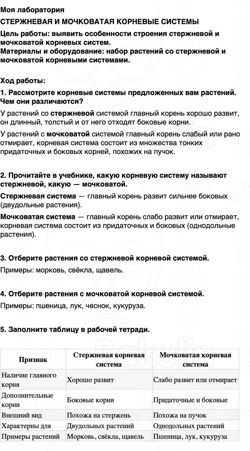 ГДЗ биология 6 класс Пасечник Линия жизни Параграф 8