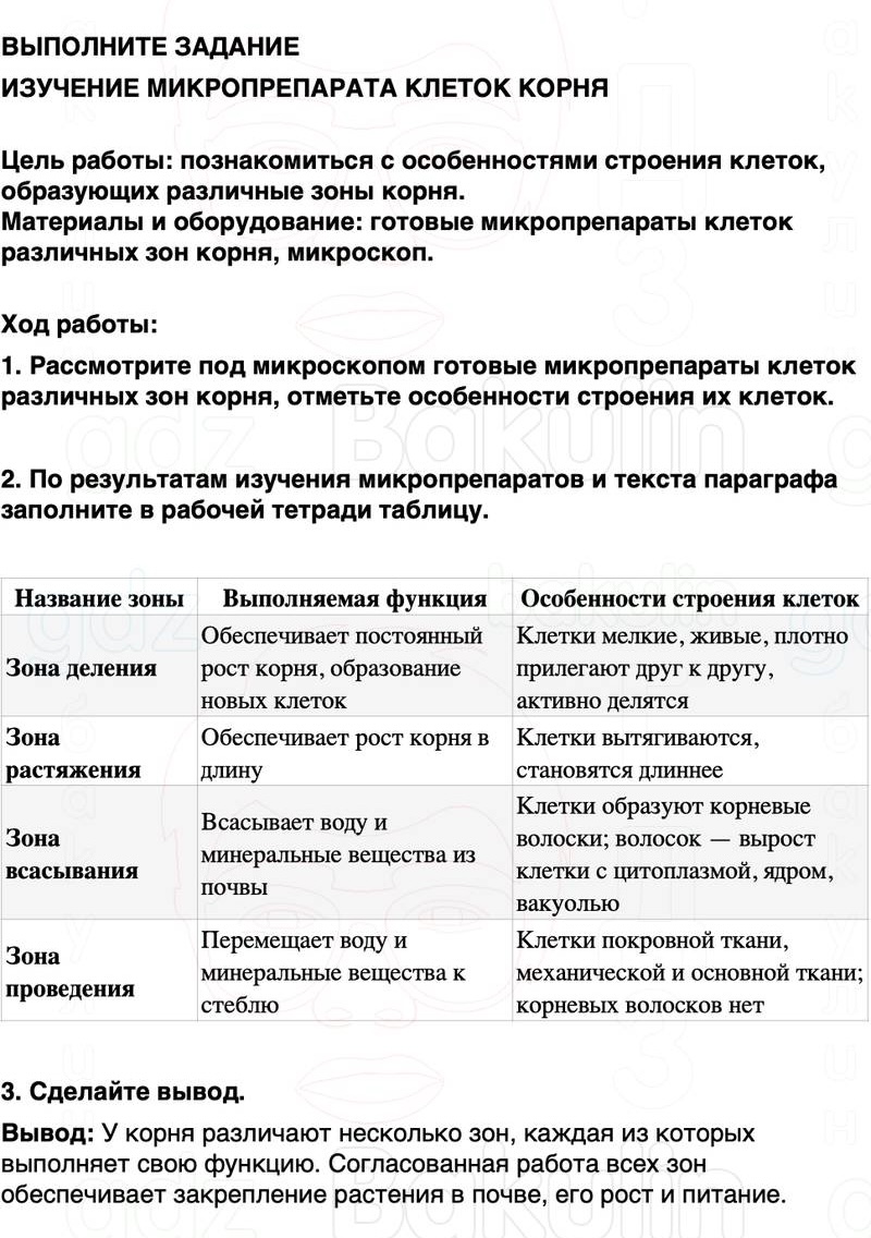 ГДЗ биология 6 класс Пасечник Линия жизни Параграф 8