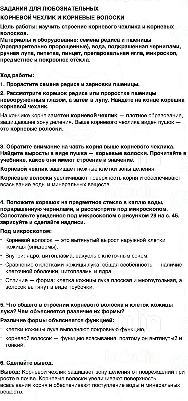 ГДЗ биология 6 класс Пасечник Линия жизни Параграф 8