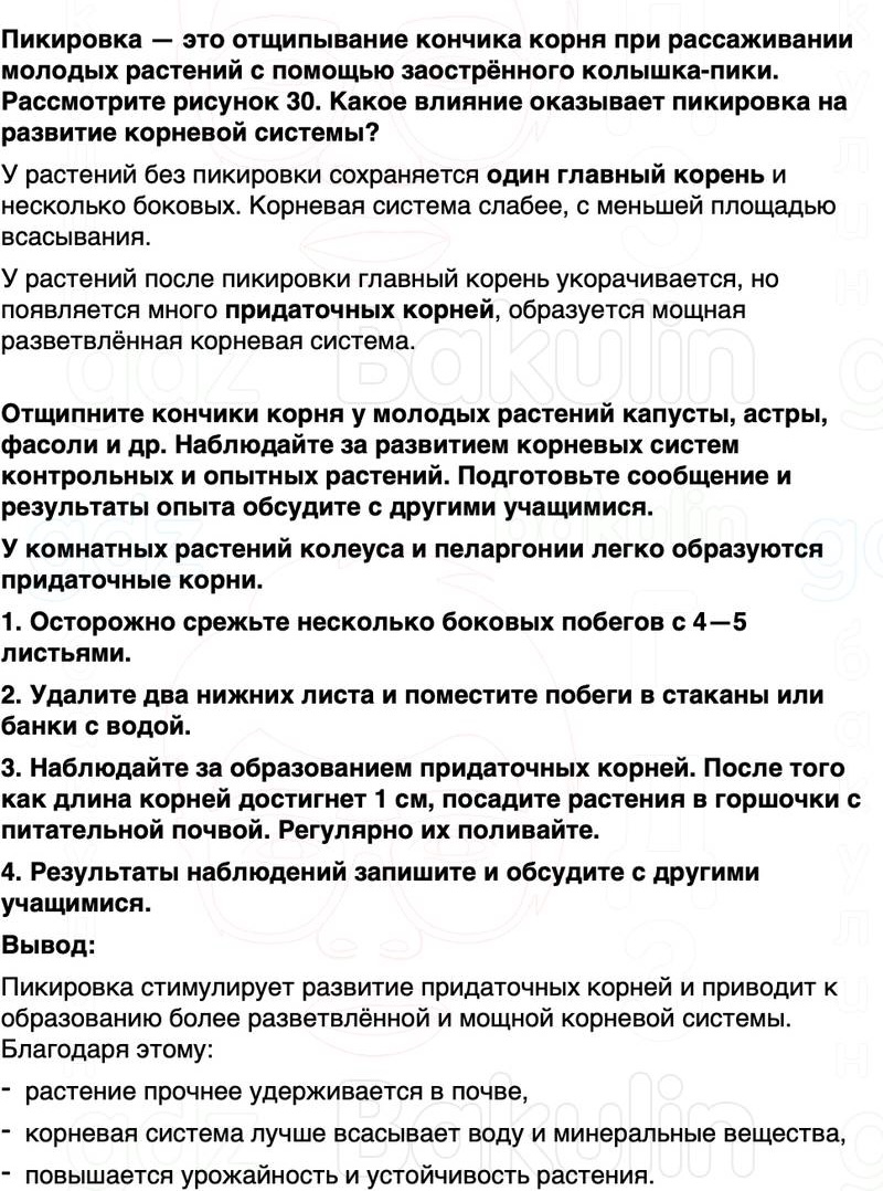 ГДЗ биология 6 класс Пасечник Линия жизни Параграф 8