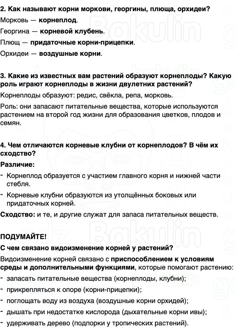 ГДЗ биология 6 класс Пасечник Линия жизни Параграф 9