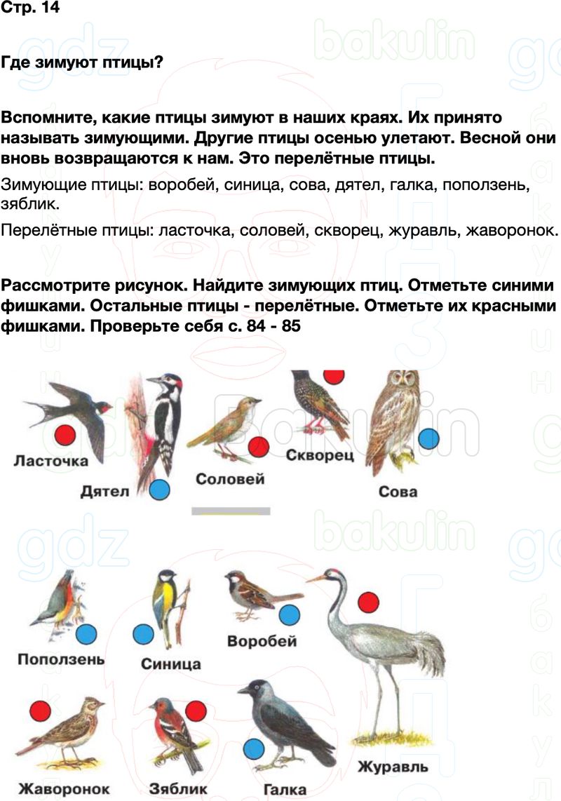 ГДЗ окружающий мир 1 класс Плешаков Школа России Часть 2 Страница 14
