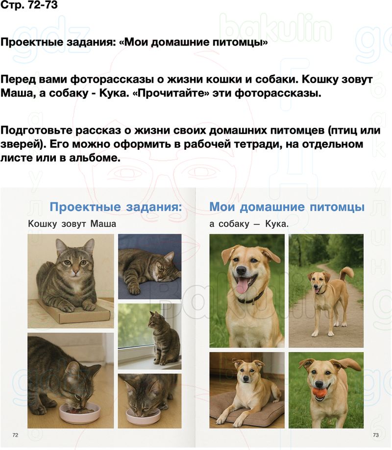 ГДЗ окружающий мир 1 класс Плешаков Школа России Часть 2 Страница 72
