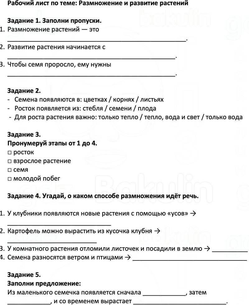 Рабочие листы Окружающий мир 3 класс Плешаков Школа России Рабочий лист по теме: Размножение и развитие растений