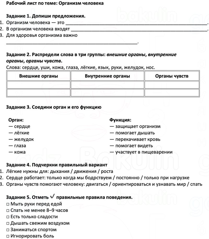 Рабочие листы Окружающий мир 3 класс Плешаков Школа России Рабочий лист по теме: Организм человека