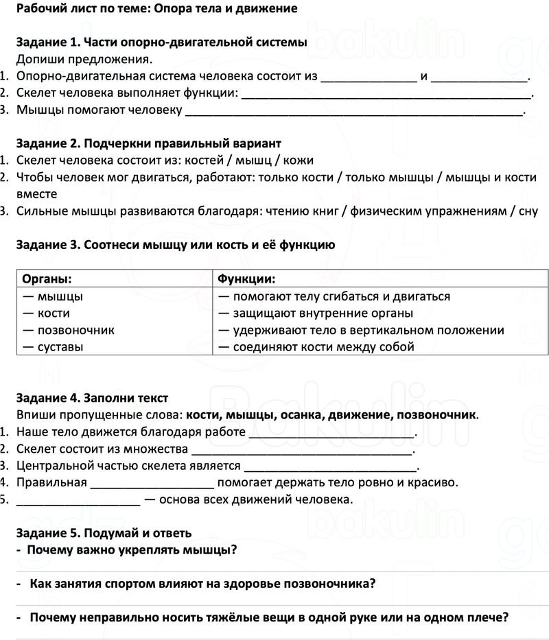 Рабочие листы Окружающий мир 3 класс Плешаков Школа России Рабочий лист по теме: Опора тела и движение