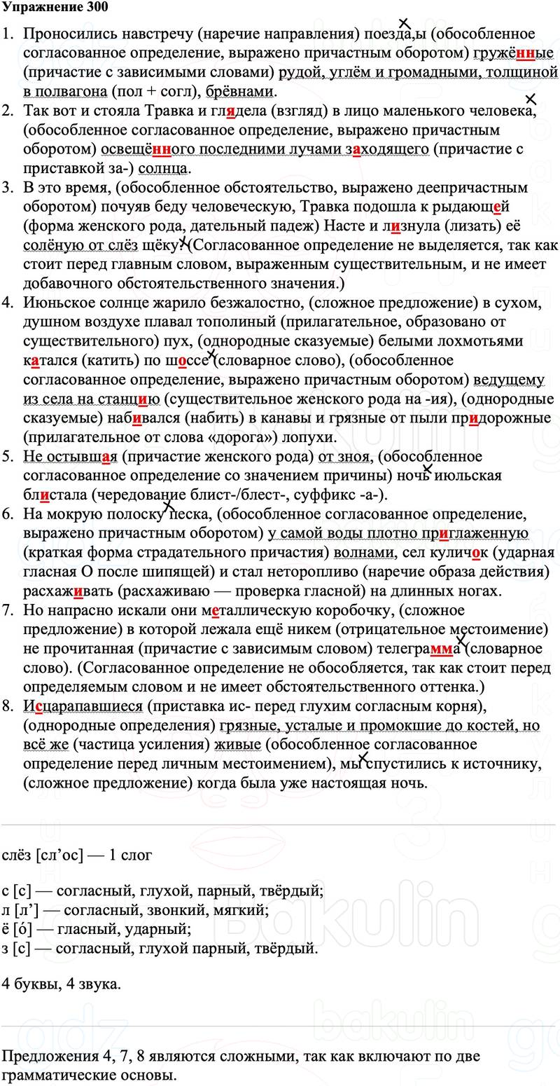 ГДЗ Русский язык 8 класс Ладыженская Упражнение 300