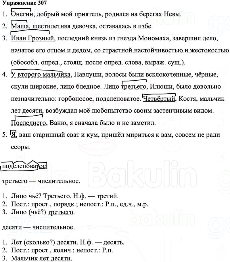 ГДЗ Русский язык 8 класс Ладыженская Упражнение 307