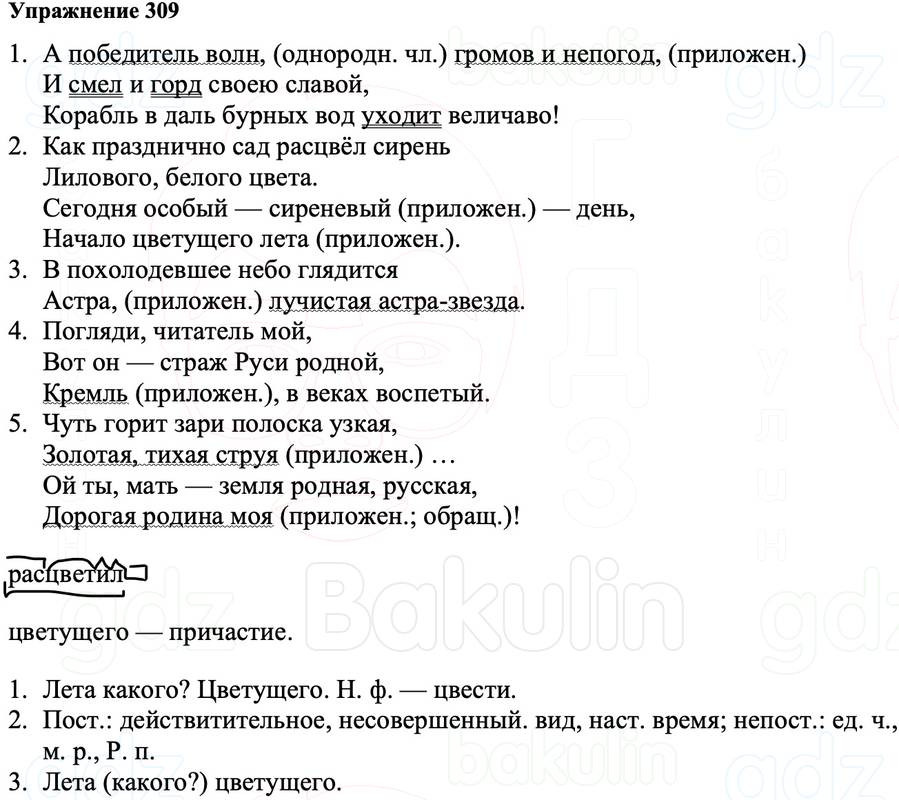 ГДЗ Русский язык 8 класс Ладыженская Упражнение 309