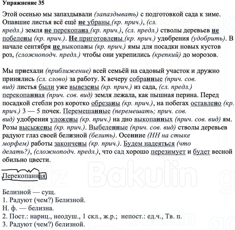 ГДЗ Русский язык 8 класс Ладыженская Упражнение 35