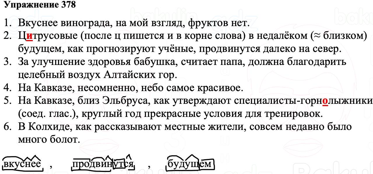 ГДЗ Русский язык 8 класс Ладыженская Упражнение 378