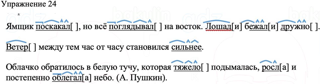 ГДЗ Русский язык 8 класс Бархударов Учебник Упражнение 24