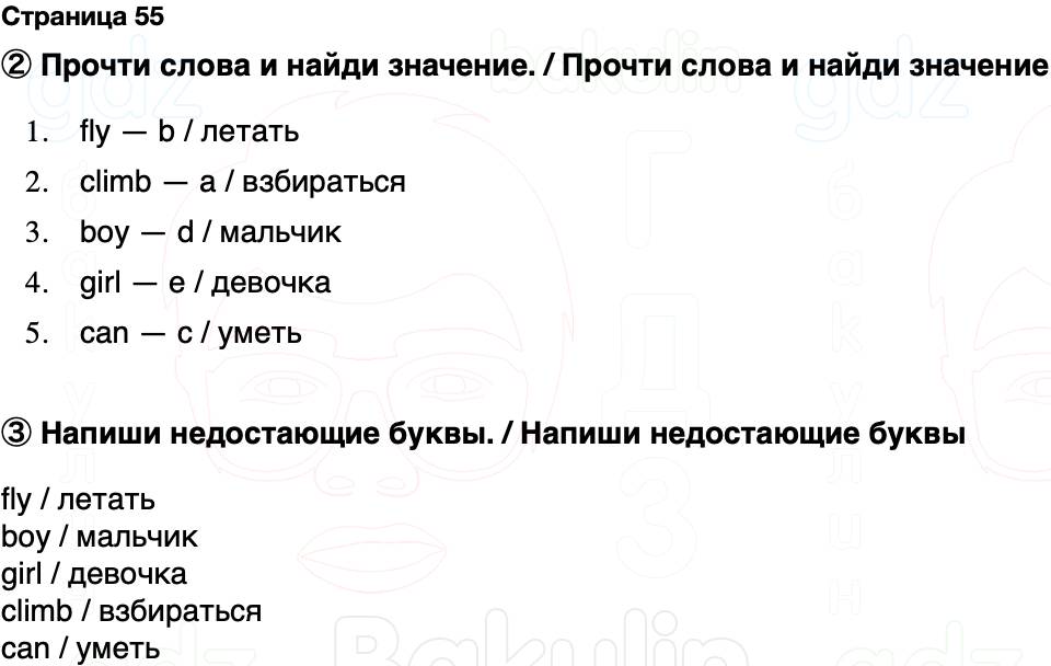 ГДЗ Английский язык 2 класс Быкова, Поспелова Spotlight Сборник упражнений Страница 55