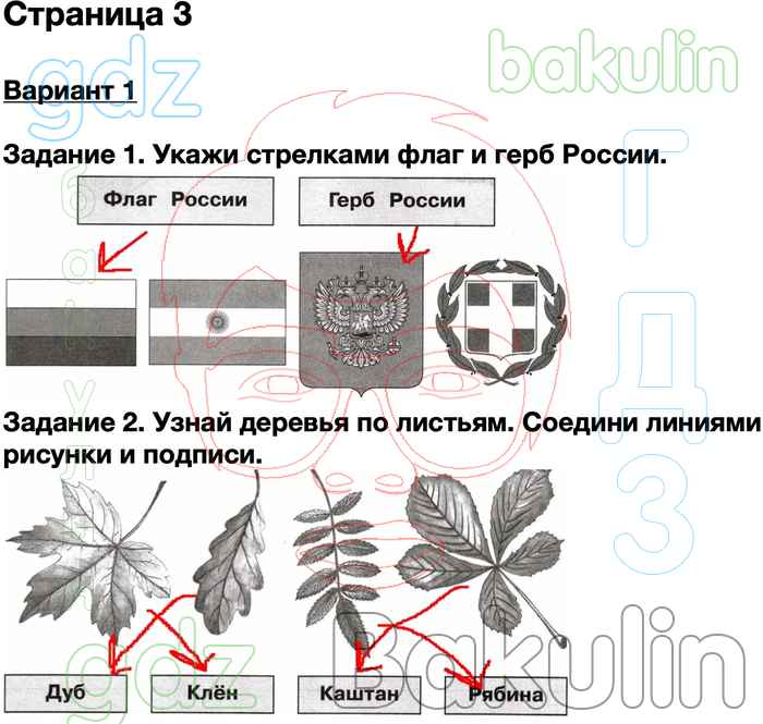 Окружающий мир 2 плешаков проверочные работы