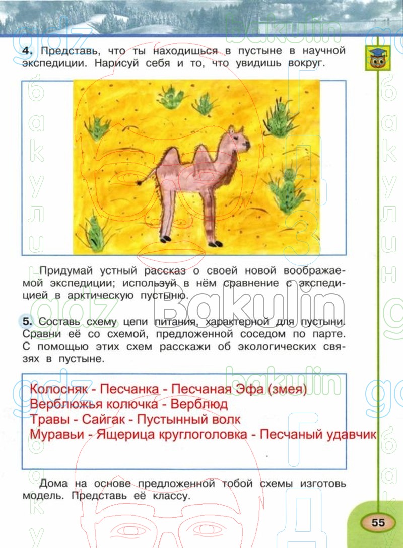 ГДЗ рабочая тетрадь по окружающему миру 4 класс Плешаков, Новицкая часть 1,  2 Перспектива, Решение, Часть 1 (Страница), 55