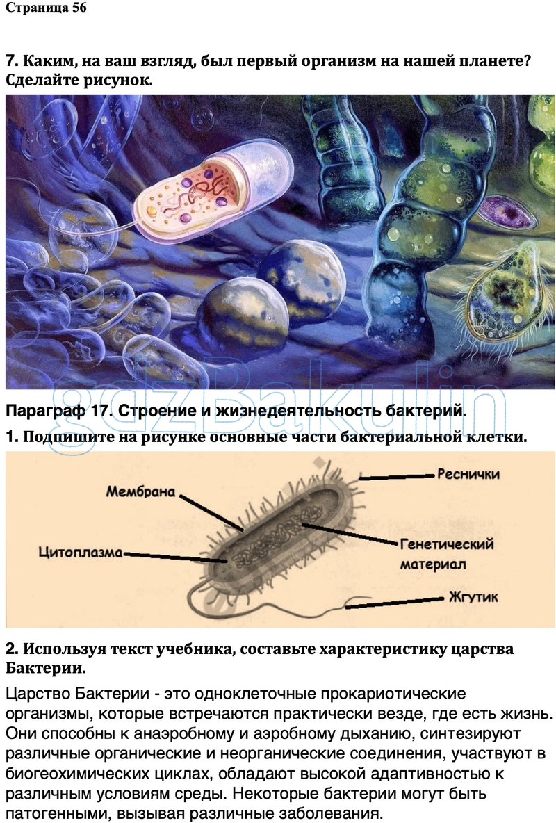 ГДЗ по биология Рабочая тетрадь 5 класс Сивоглазов, Решение, Страницы, 56