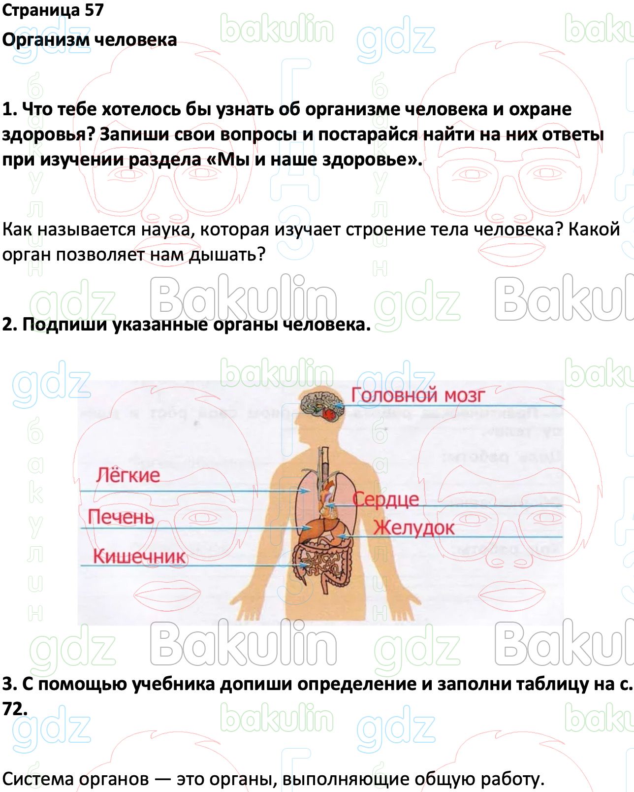 ГДЗ по окружающему миру 3 класс Плешаков рабочая тетрадь Школа России  решебник онлайн ответы, Решение, Часть 1 2023 ФГОС, 57